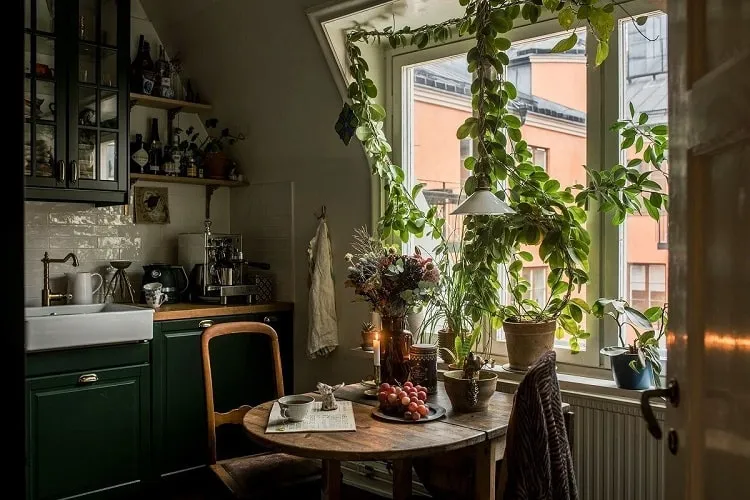 vintage kitchen design with plants