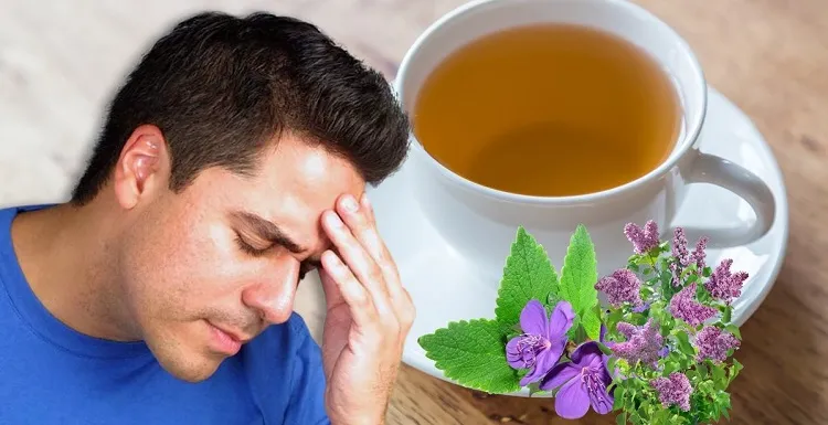 what is oregano essential oil good for headache