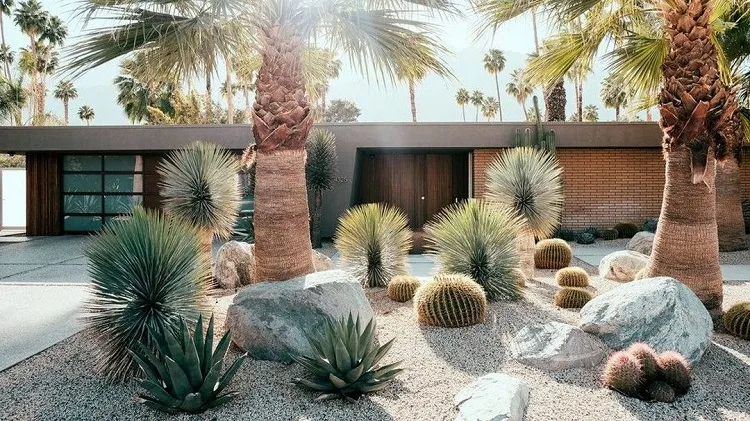 how do you plan a desert garden take cacti and palms