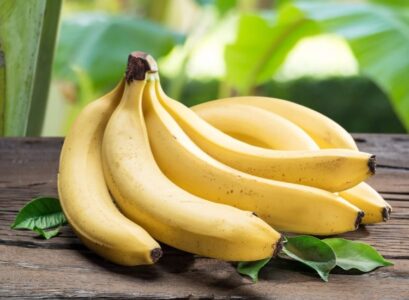bananas are good for weight loss most popular fruits worldwide are used in many different types of cuisines as they offer sweet flavor as you probably know including this fruit