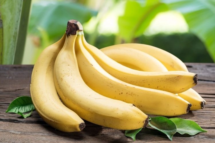 bananas are good for weight loss most popular fruits worldwide are used in many different types of cuisines as they offer sweet flavor as you probably know including this fruit
