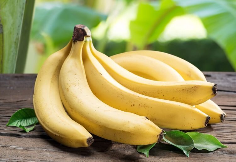 bananas are good for weight loss most popular fruits worldwide are used in many different types of cuisines as they offer sweet flavor as you probably know including this fruit