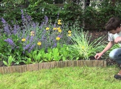 best landscape edging options