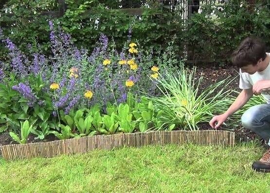 best landscape edging options