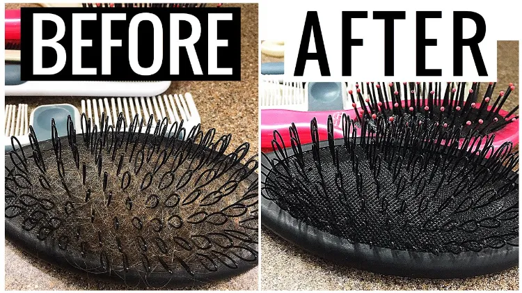 clean hairbrush a woman who wants to have a healthy and strong hair you are probably taking proper care of it you follow the experts advice to wash your hair 2–3 times per week conditioner