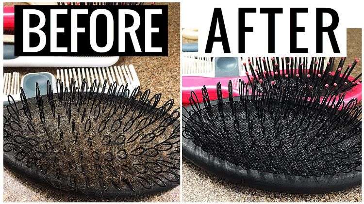 clean hairbrush a woman who wants to have a healthy and strong hair you are taking proper care of it you follow the experts advice to wash your hair 2–3 times per week conditioner