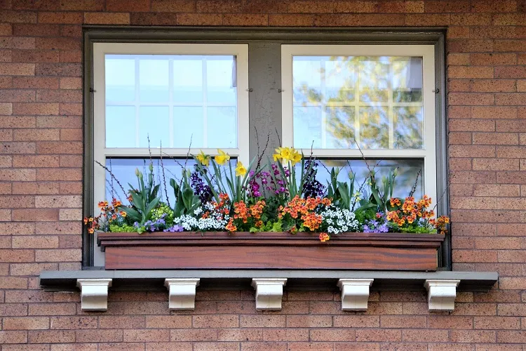 colorful flowers planted in a window box large window box planters