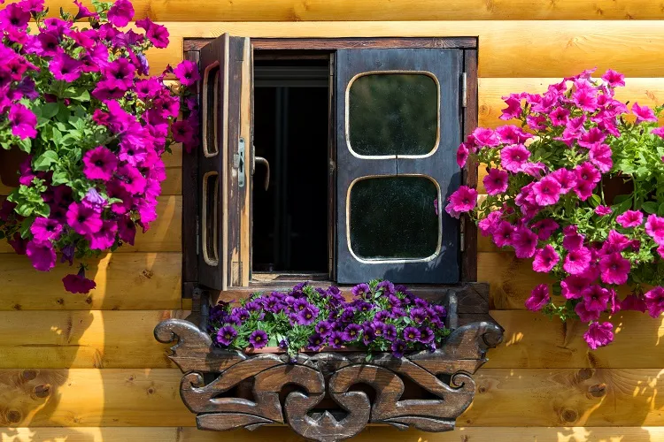 free standing window box planters planting petunias