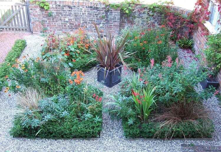 front yard desert landscaping ideas on a budget plant drought tolerant local flowers