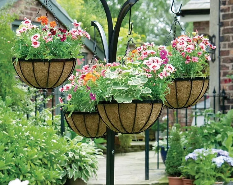 hanging flower baskets