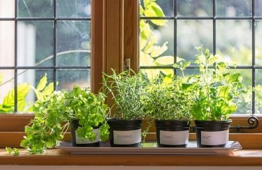 herb window garden instructions diy indoor herb garden