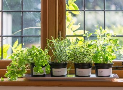 herb window garden instructions diy indoor herb garden