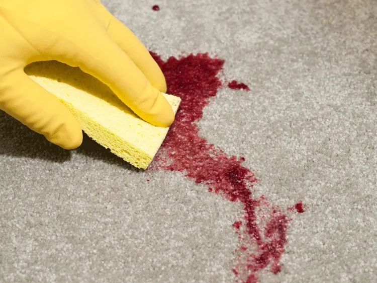 homemade carpet cleaner and deodorizer firstly blot the stain with a sponge