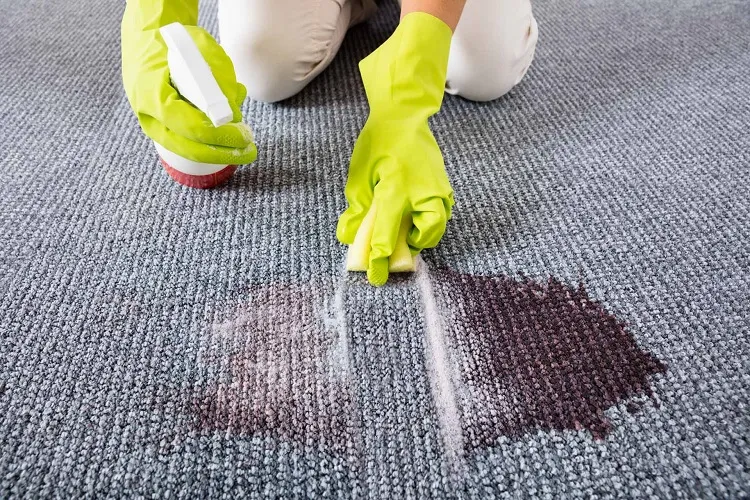 homemade carpet cleaner solution washing pet stains