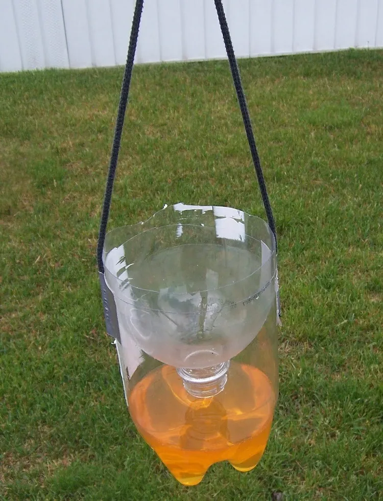 homemade outdoor fly traps that work vinegar should be used with sugar