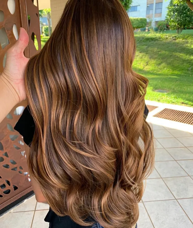 honey blonde highlights on dark brown hair the new season is coming and you have decided that you want to make a change in your hairstyle highlights are the perfect option