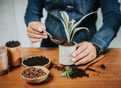 how do you make fertilizer with coffee grounds