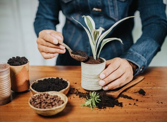 how do you make fertilizer with coffee grounds