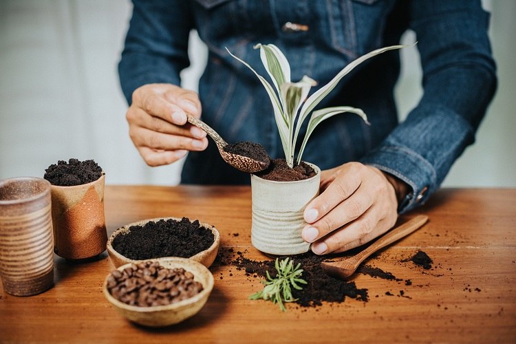 how do you make fertilizer with coffee grounds