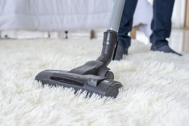 how to clean sperm stains from carpet