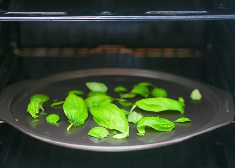 how to dry out basil in a microwave oven heat on 1 minutes intervals