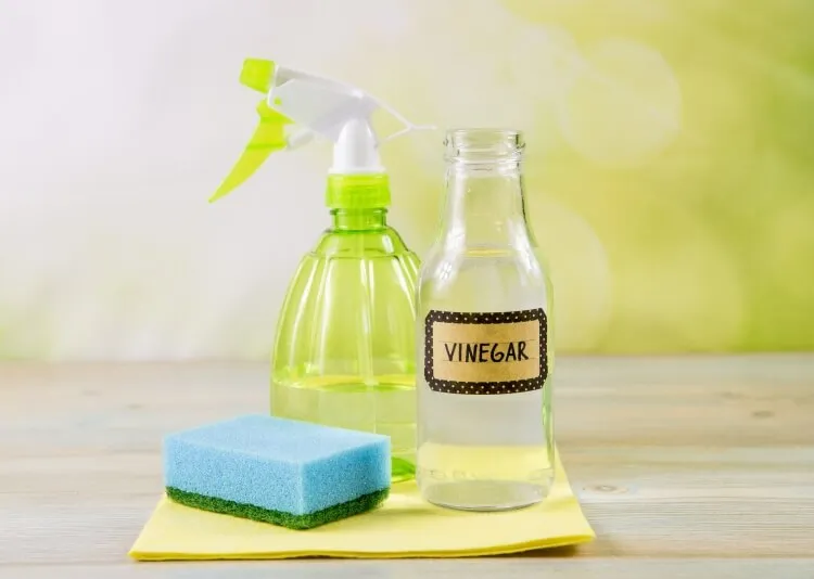 how to get rid of ants in your favorite garden it works almost instantly you just need a basic bottle of white vinegar nothing special spray the solution directly on the nests