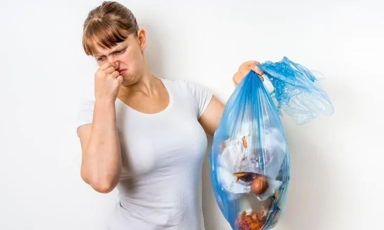 how to get rid of smell from garbage disposal house needs to have a trash bin or two since we cannot dispose it instantly every time right most people place