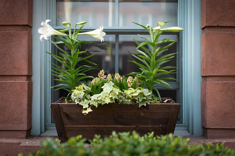 how to install window box planters