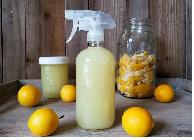 how to remove dust in your home with a lemon vinegar infusion
