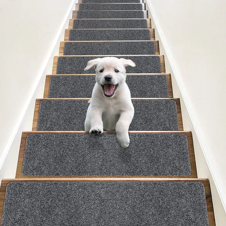 how to tire out an 8 week old puppy let the pet runn on some stairs