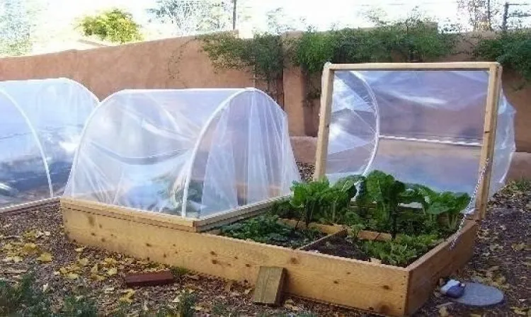 mini greenhouse effect glass or plastic constructions