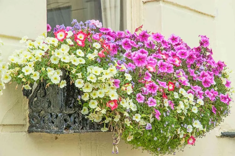 spillers window box planters for vinyl siding