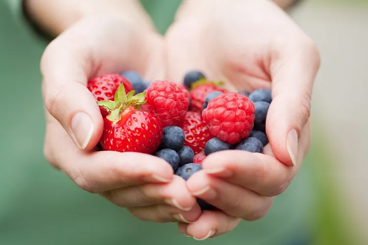 taking care for your skin during menopause include in your diet berries