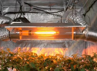 use heat sources protect plants during chilly overnight weather