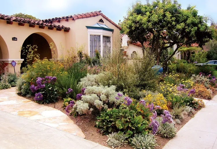 waterwise mediterranean urban oasis landscape design with desert flowers