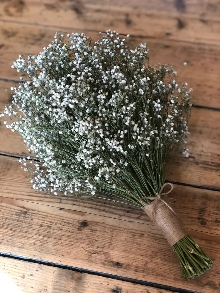 gypsophila what flowers and plants are best for drying