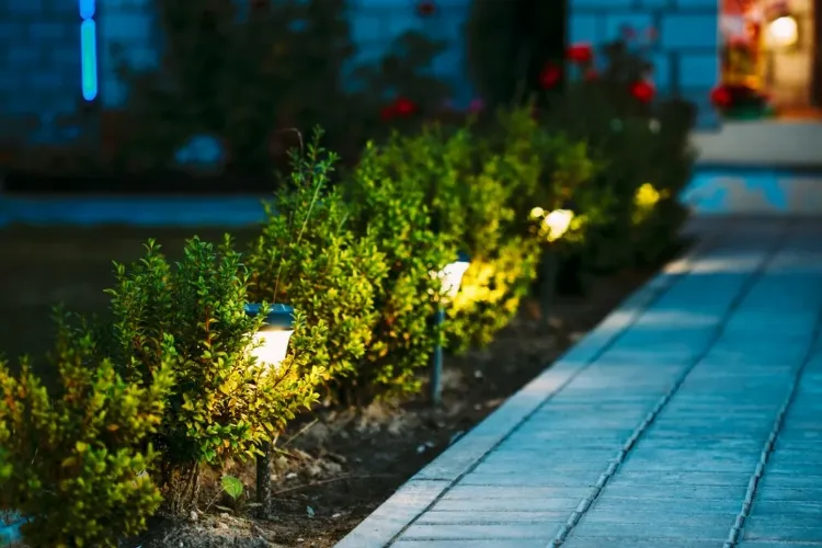 how to light your garden without electricity