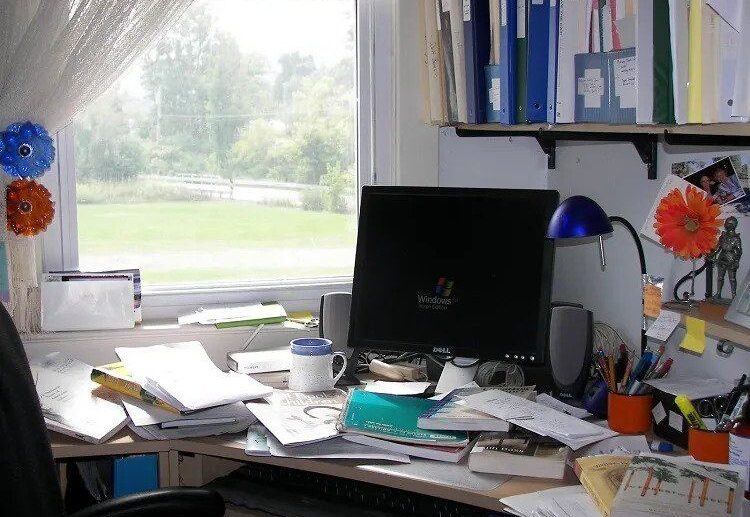 how to organize your papers marie kondo tips and tricks