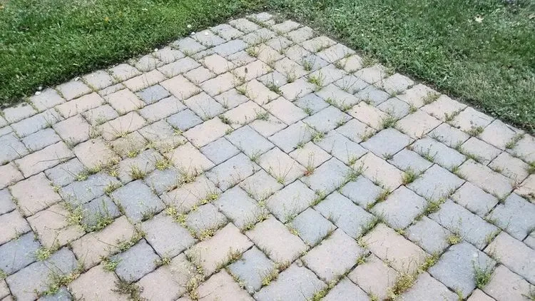 how to remove weeds from the patio