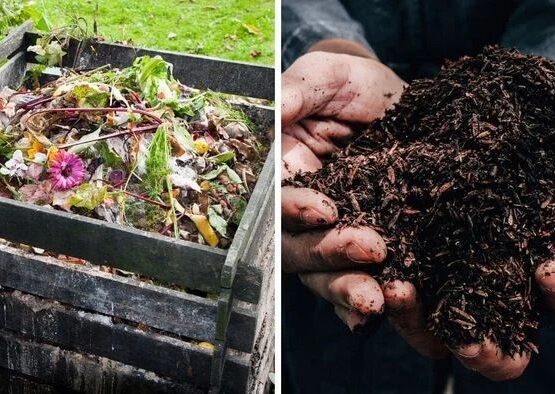organic fertilizers for vegetables natural fertilizers