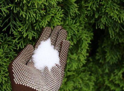 the hidden benefits of epsom salt for plants a comprehensive guide