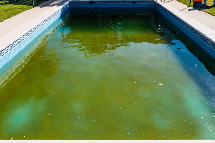 what is the best way to clean the bottom of the pool