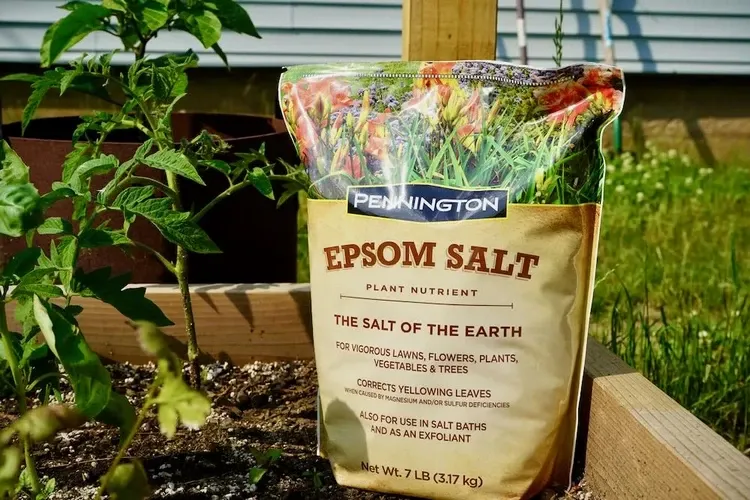 where can i buy epsom salt suitable for plant use and how should it be stored