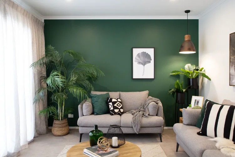 add green plants for luxurious look of your house