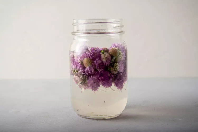 chive flower buds in vinegar easy recipe flavored dishes