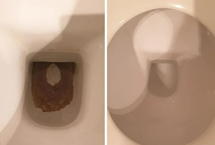 clean black stains toilet bowl easy effective diy tricks home remedies