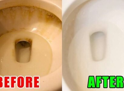 clean stubborn black stains’ from toilets ‘instantly