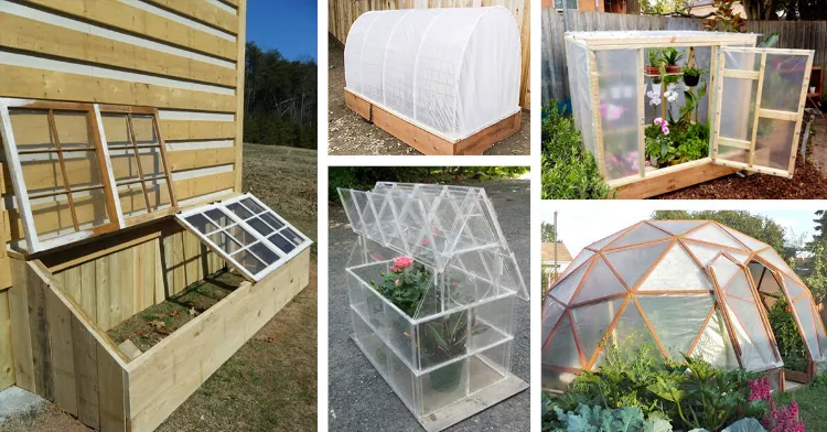 diy greenhouse on a budget