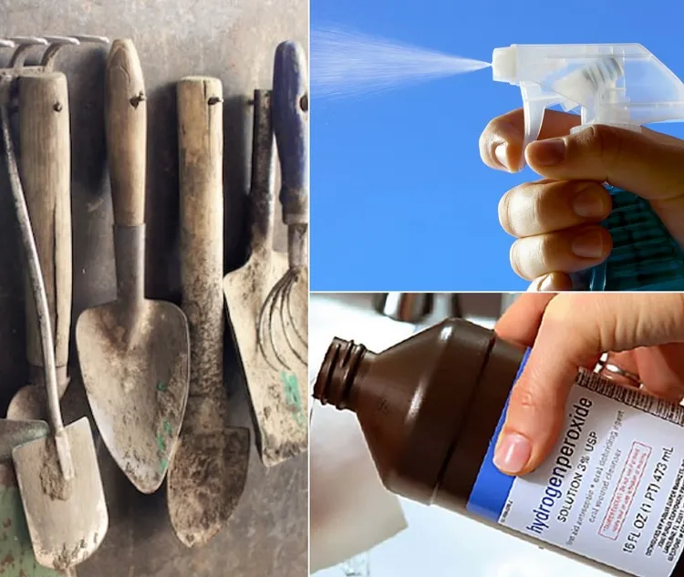 how do you disinfect garden tools without bleach use hydrogene peroxide