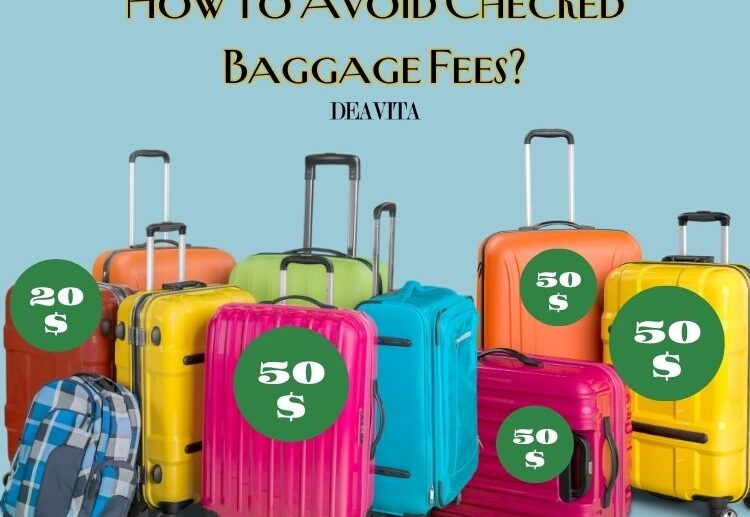 how to avoid checked baggage fees 2023 methods ideas